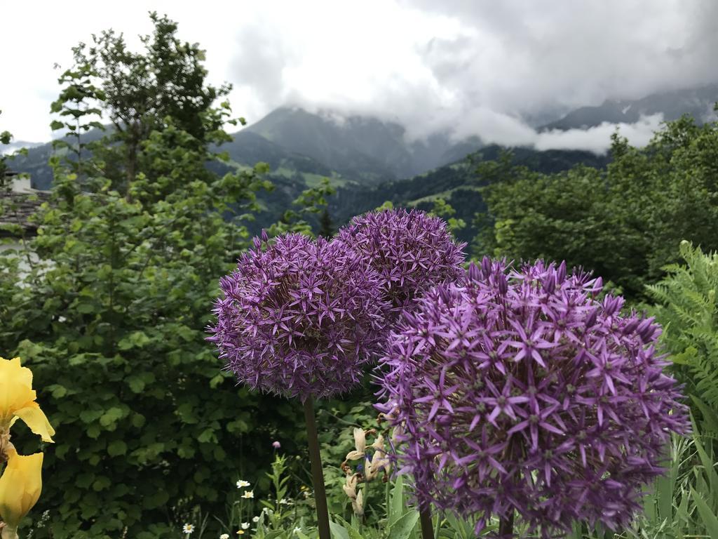 Ferienwohnung Laax Mit Traumblick, Grossem Balkon Und Terrasse Esterno foto